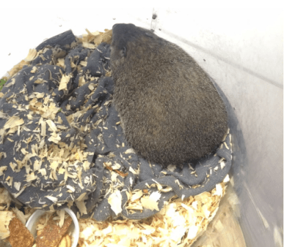 Screen Shot 2016-07-20 at 10.38.42 PM