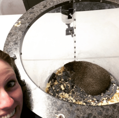 Screen Shot 2016-07-20 at 10.39.03 PM