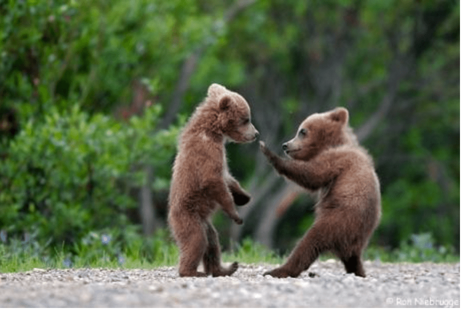 Screen Shot 2016-09-13 at 10.55.55 AM.png