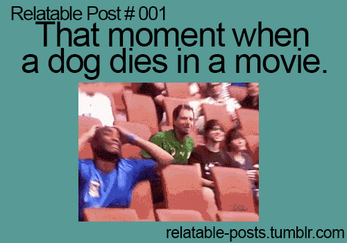 e6e89c6c4abf95327745433bc3f7a8d1