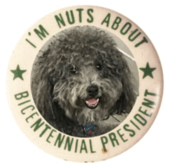 Screen Shot 2017-12-22 at 11.15.39 PM