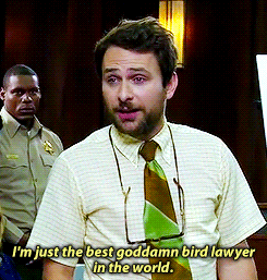 bird-law-gif-3