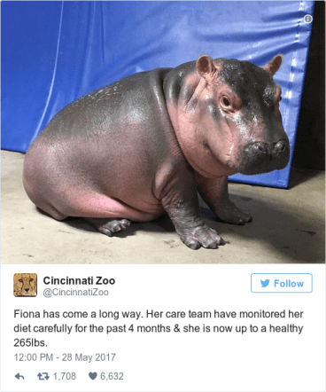 2ca4f555ef2f0282d362b4d470b692ca