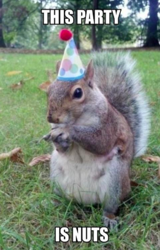 Screen Shot 2018-03-20 at 5.13.40 PM.png