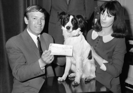 Screen Shot 2018-06-23 at 12.23.36 PM