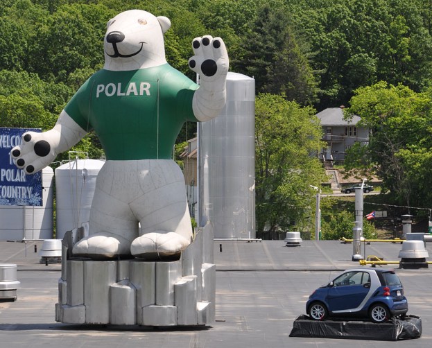 polar